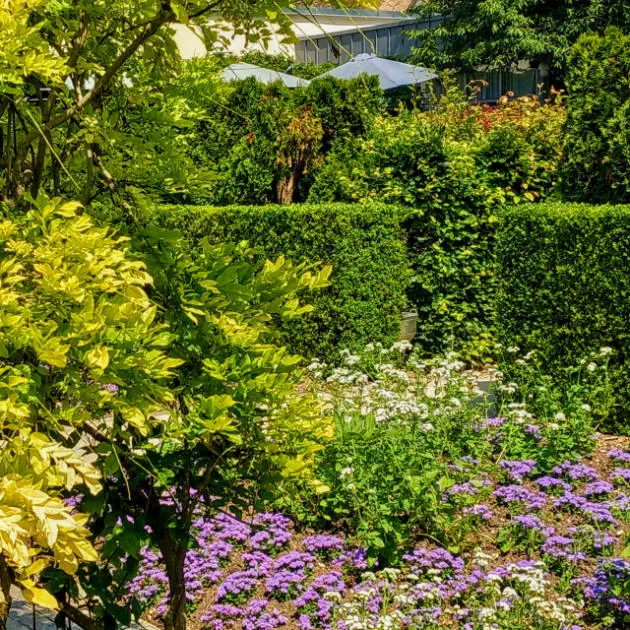 The garden of the museum of impressionnisms The garden of the museum of impressionnisms