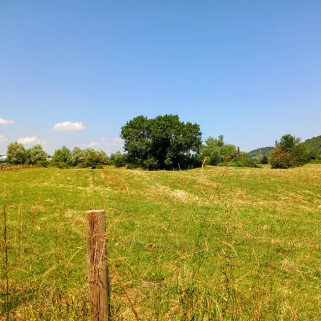 The meadows before Giverny The meadows before Giverny